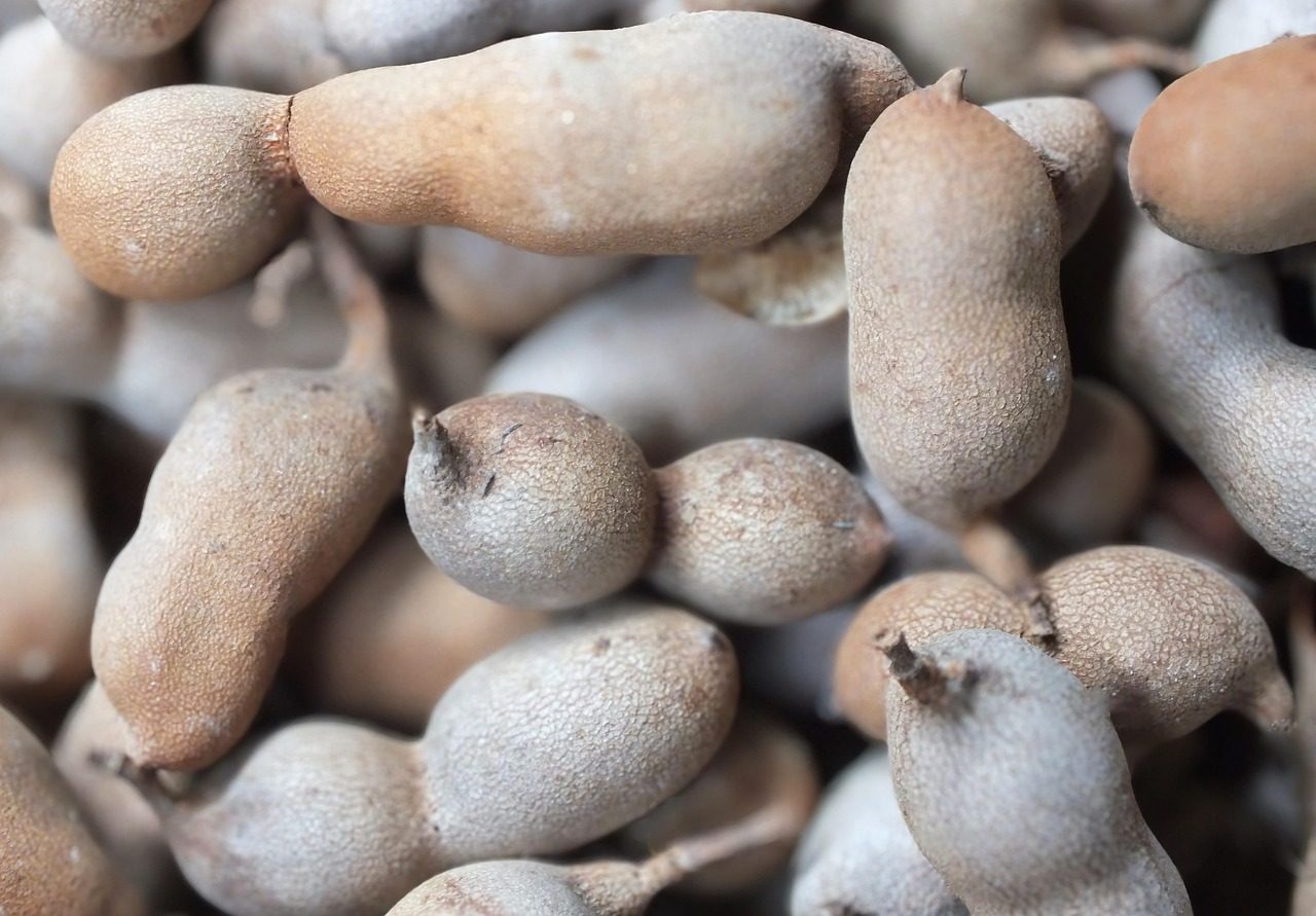 tamarind, gooseberry, fruit, tamarind, tamarind, tamarind, tamarind, tamarind